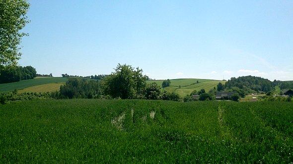 Pagórkowaty teren w Stawce