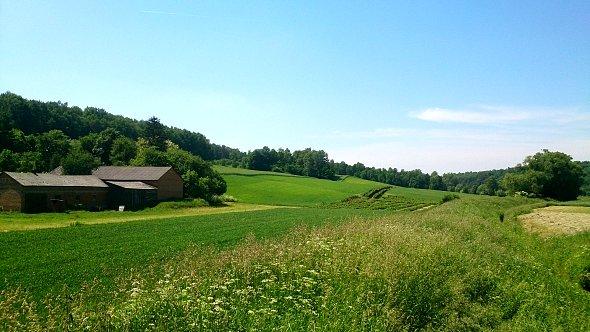 Pagórki w Wólce Ponikiewskiej