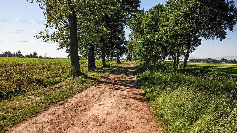 Piękne szuterki