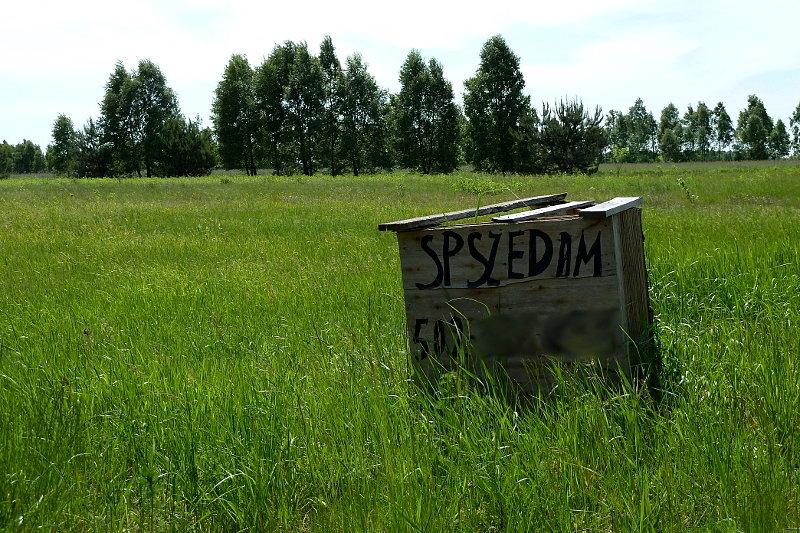 Spszedam, kópisz ?