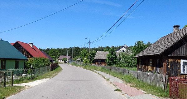 Baciki Średnie