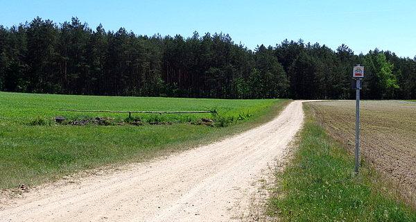 W kierunku wsi Stankowicze