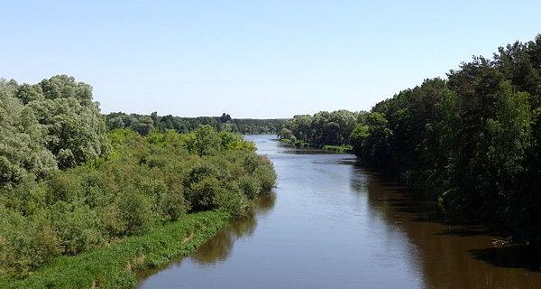 Rzeka Bug. Widok z mostu kolejowego we Fronołowie
