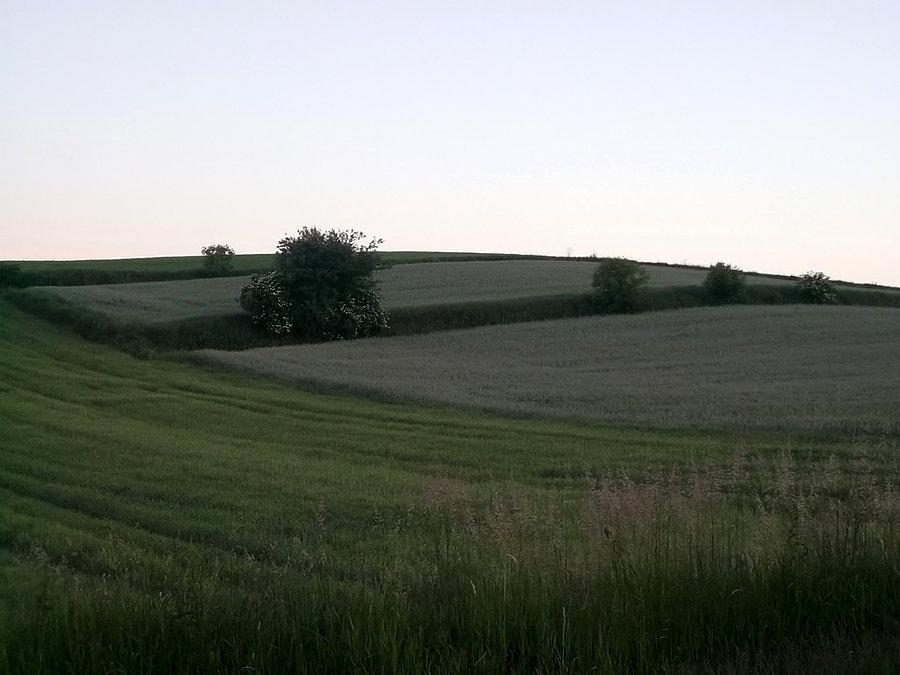 Typowy widoczek z trasy