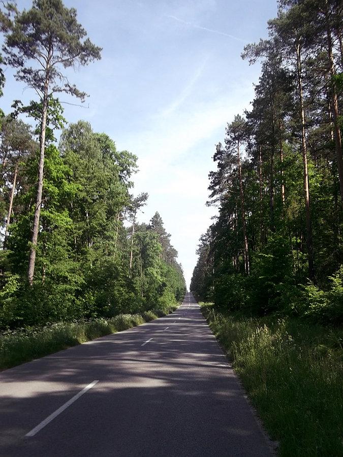 Przyjemna droga