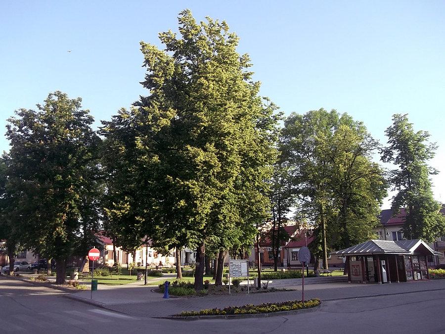 Wiślica