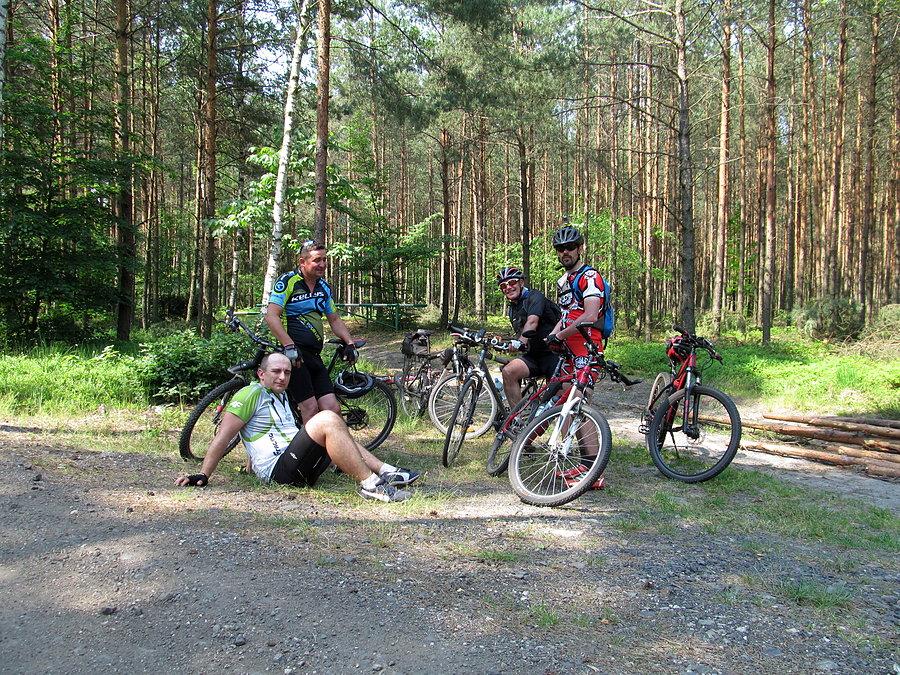 W drodze powrotnej