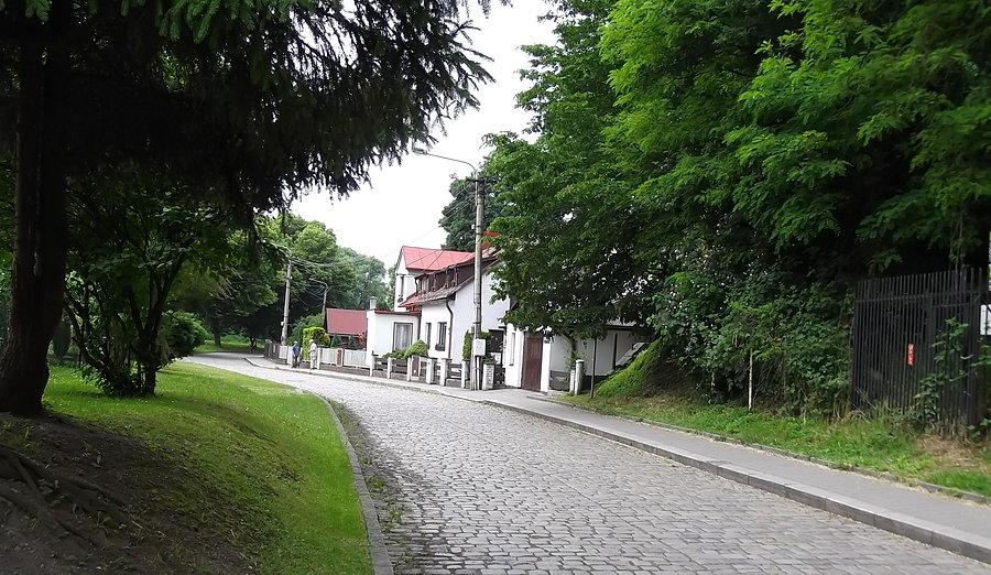 Okolice Parku Landek