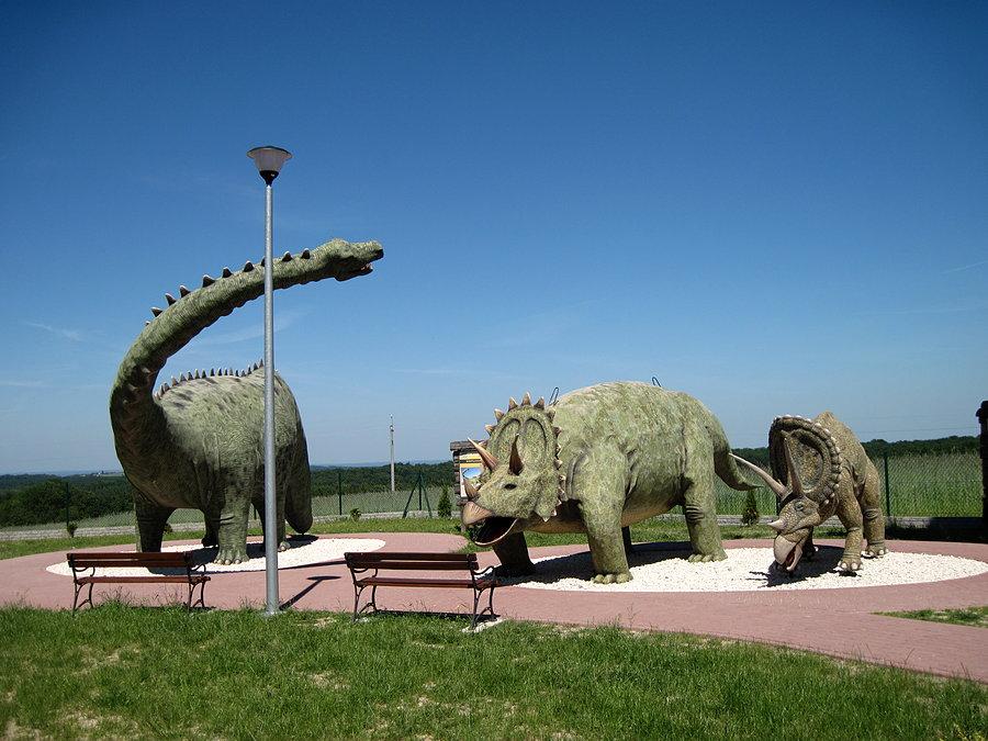 Poprzestawiali gady w Głobikowej