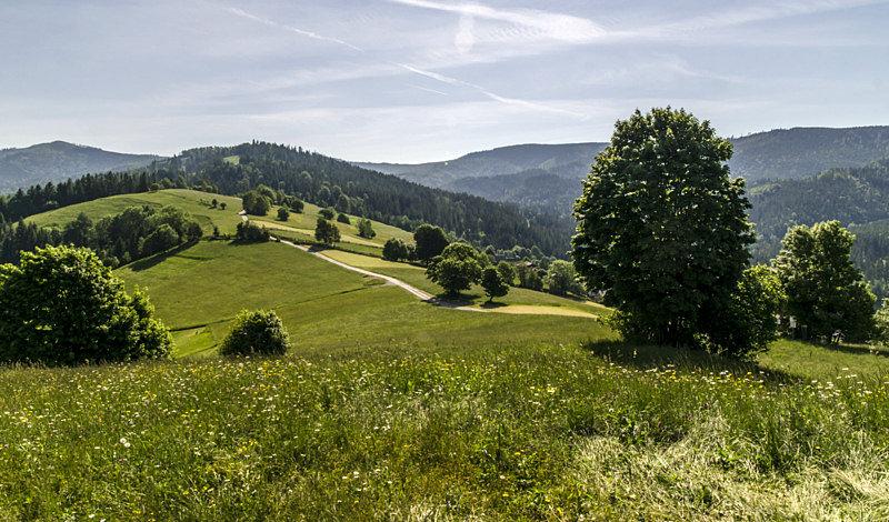 Takie widoki tylko w Beskidach