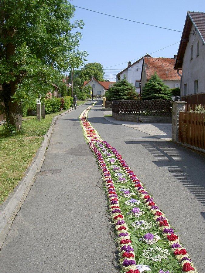 Dywan z kwaitów