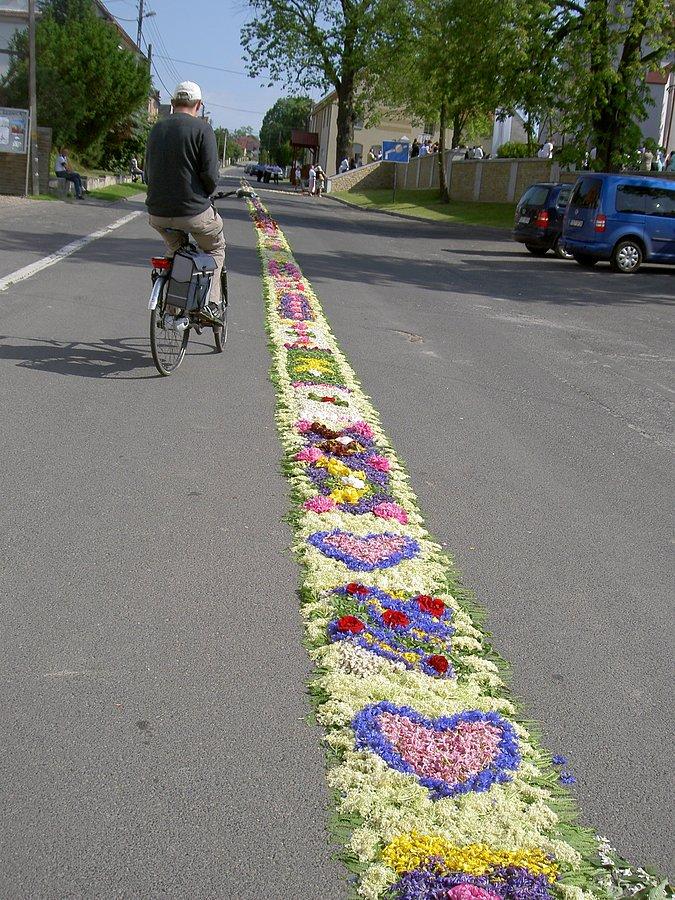 Część dalsza drogi procesji