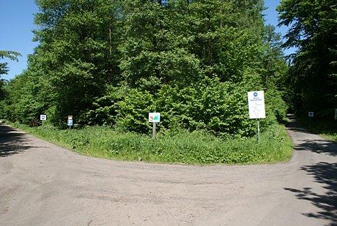 Na rozstaju dróg rowerowych, którą wybrać?