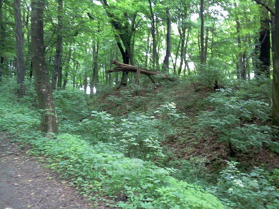Wał i fosa