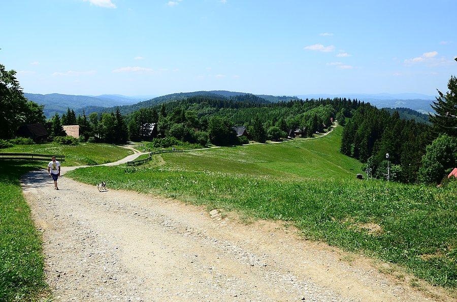 Jaworniki
