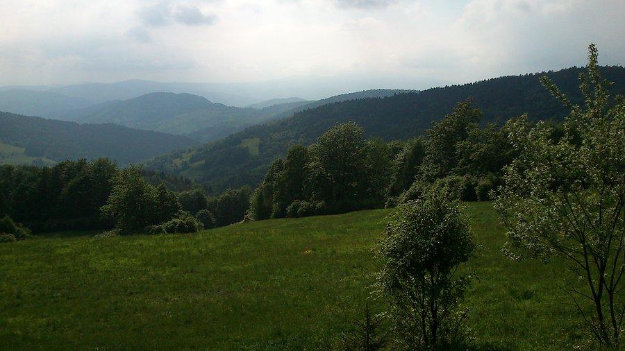 Jaworzyna