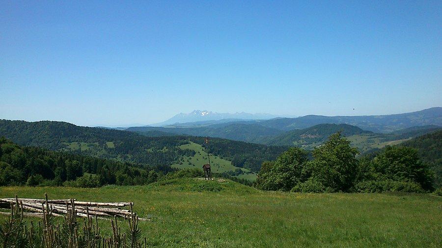 Widoczek z Bacówki nad Wierchomlą