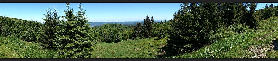 Widoczek ze schroniska