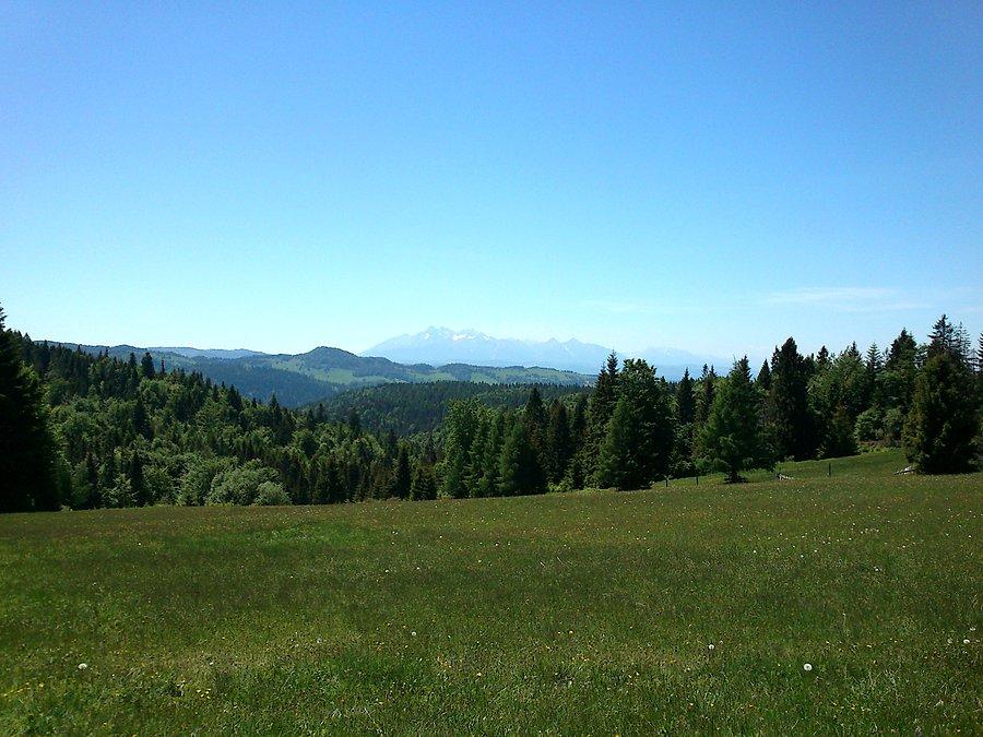 Przepięknie