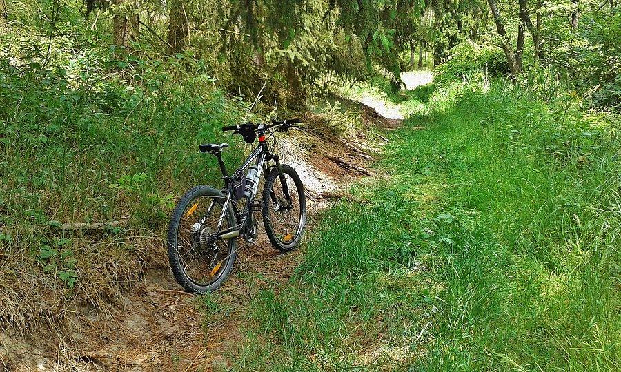 Okolice Tczewa. Trening w terenie