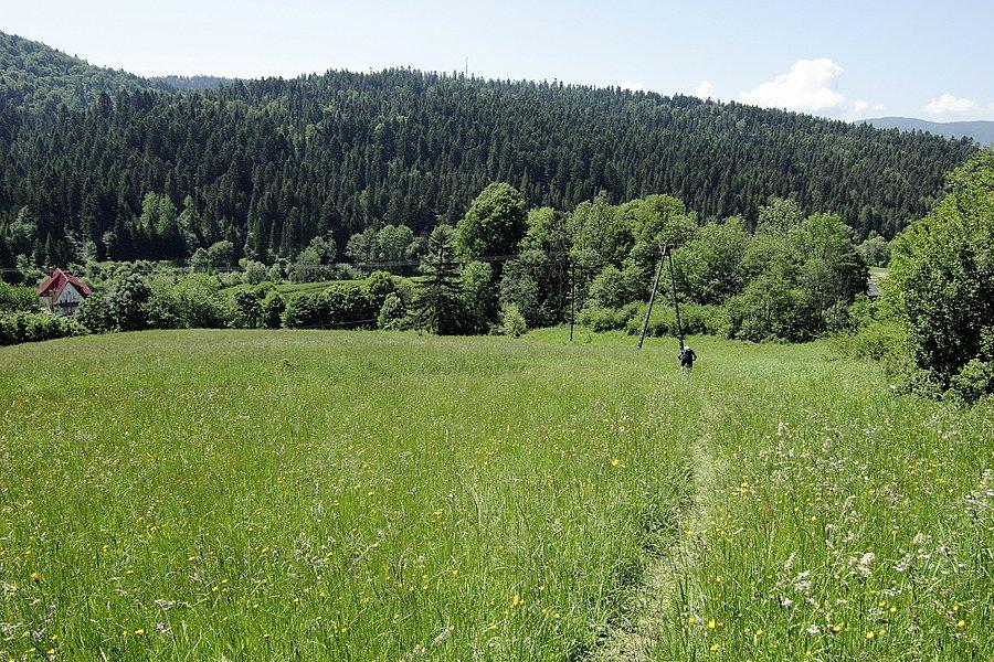 Końcówka zjazdu - Dołżyca