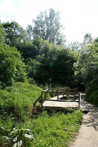 Drugi z mostków w Dolinie Chłapowskiej