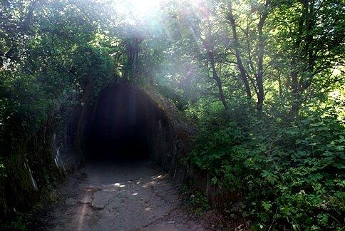 Tunel w Dolinie Chłapowskiej