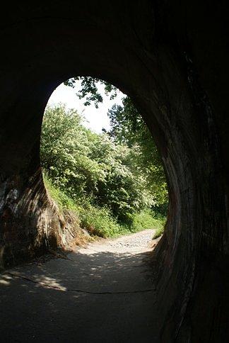 Wyjście z tunelu