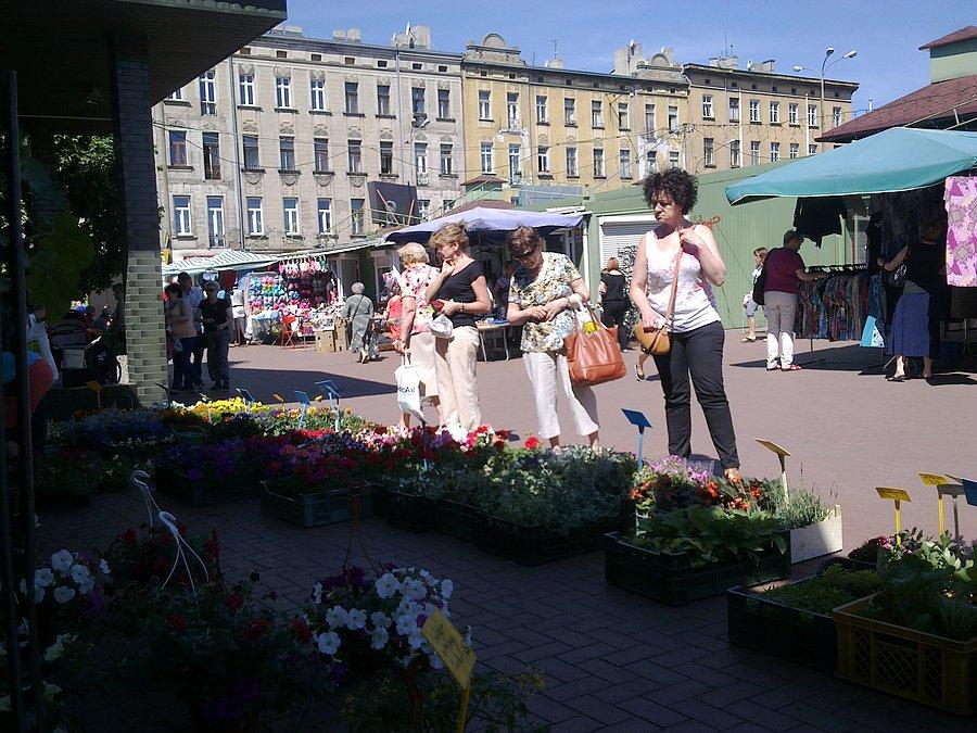 Zielony rynek