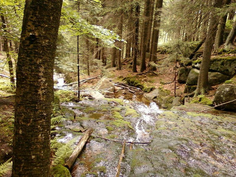 Jodłówka