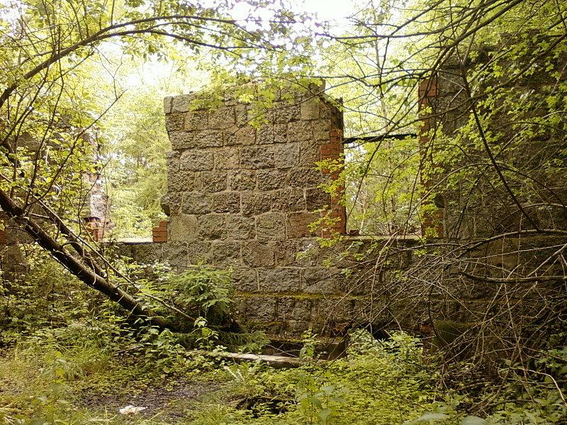 Ruiny Prewentorium
