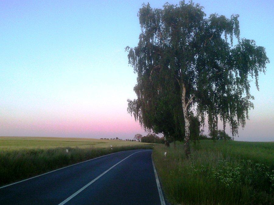 Gdzieś koło Krackowa