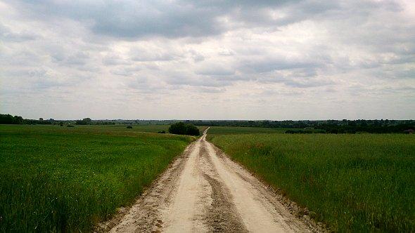Polna, prosta droga do Czerniejowa