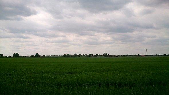 Zielone pola w Skrzynicach