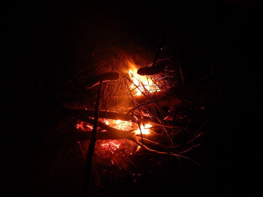 Kiełbaski pieczone nad ogniskiem