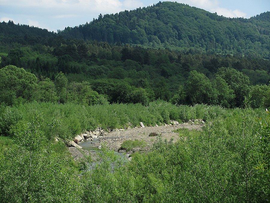 Dolina Ropy przy Hańczowej