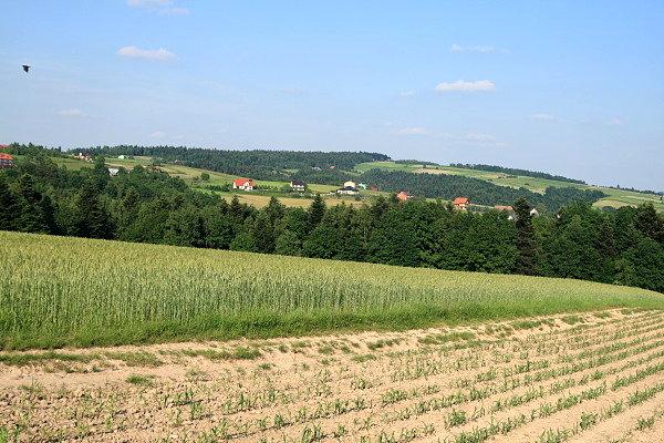 Kuminowiecka Góra