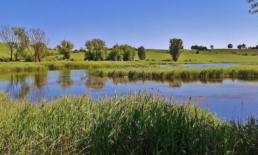 Okolice Tczewa. Staw
