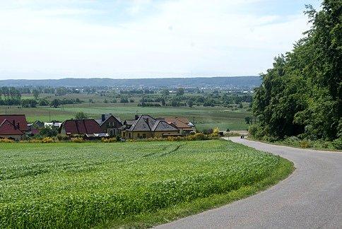 Widoczek w drodze z Połchowa