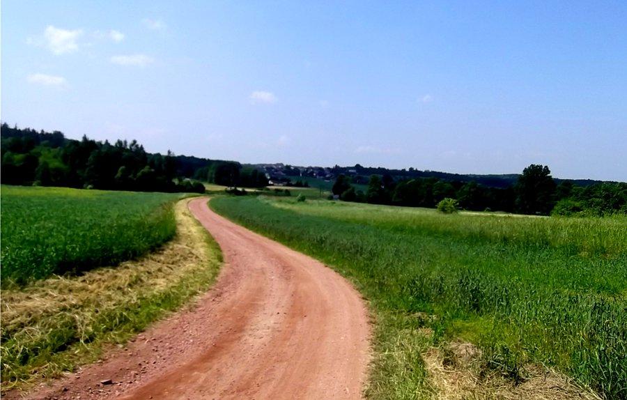 Droga z Kokoszyc do Rogowa