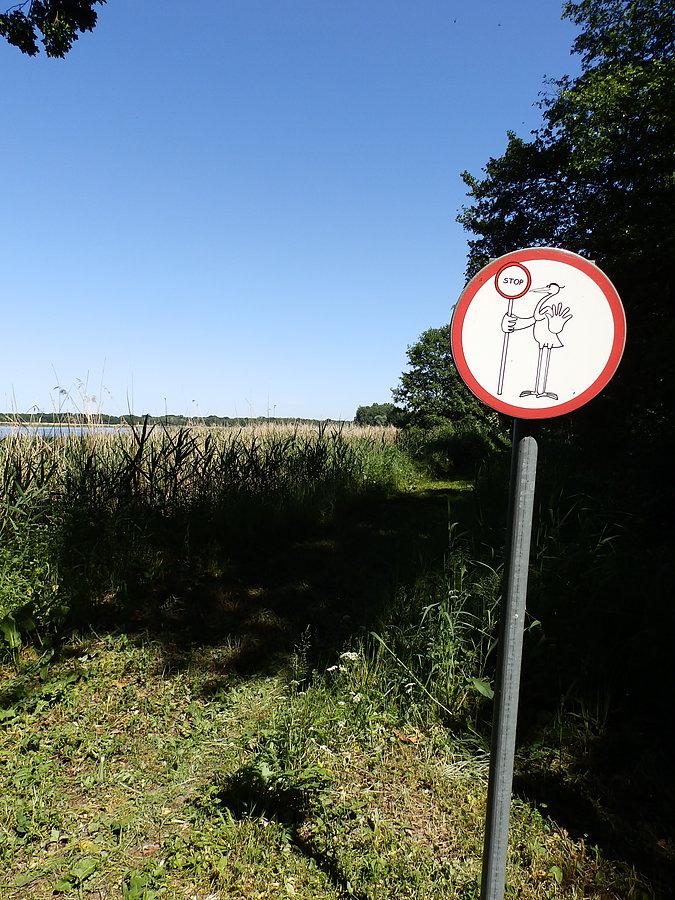 Czapla - strażnik