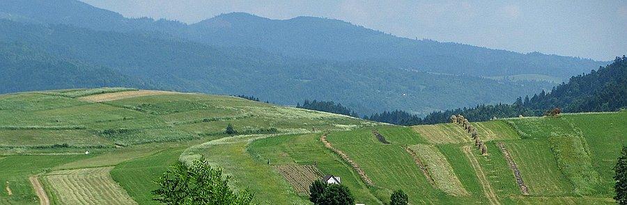 Gorcowo-pienińskie sianokosy