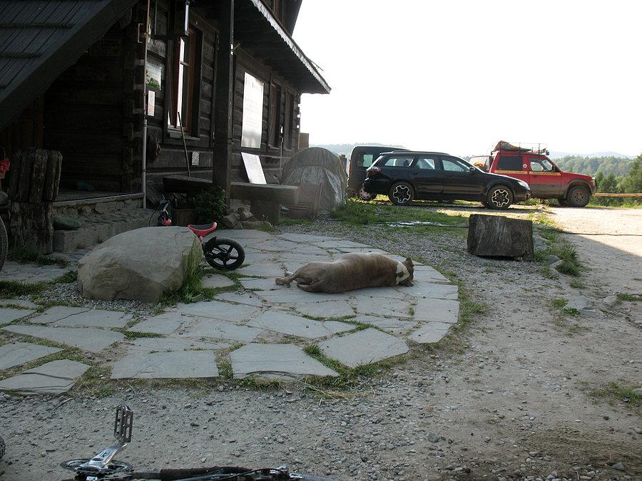 Bacówka PTTK nad Wierchomlą