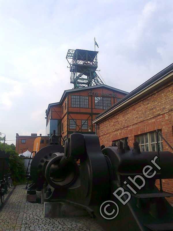 Industriadowy Maciek
