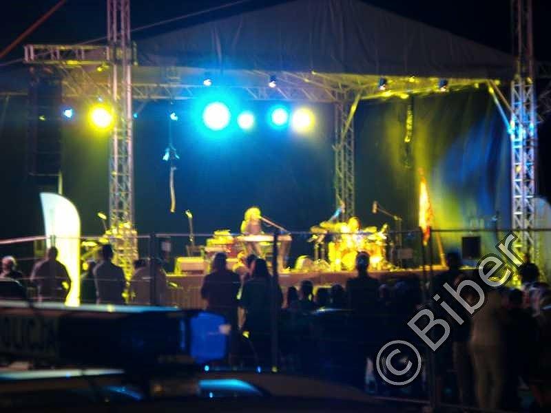 Koncert Skrzeka ku pamięci Skrzeka