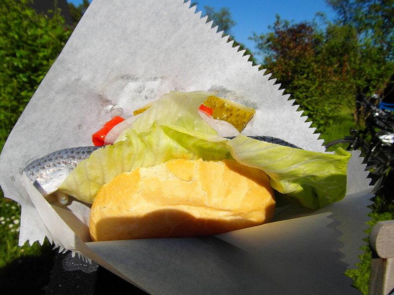 Pierwsza fish buła - Rugia
