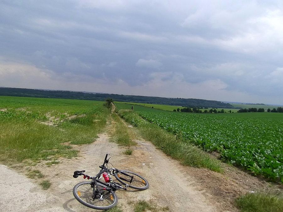 Okolice miejscowości Píšť. Jeżdżę jakimiś polnymi drogami