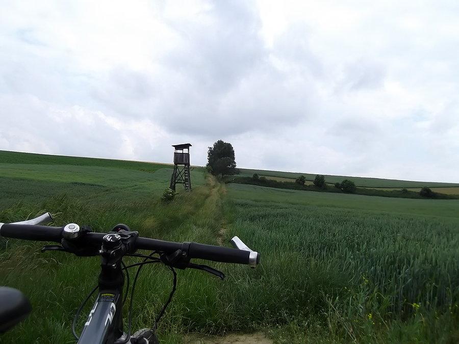 Gdzieś na podjeździe z Píšť do Bělá wjechałem w las i kawałek miedzy polami