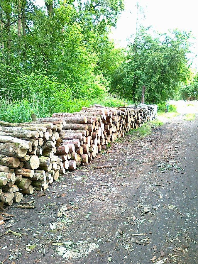 Nowy widok na drodze