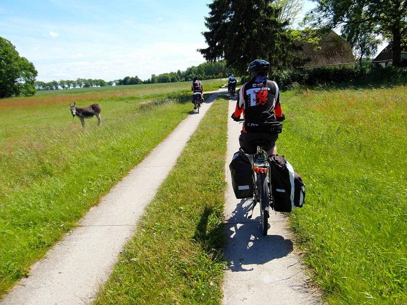 Rowerowe szlaki Rugii - wybrzeże zachodnie
